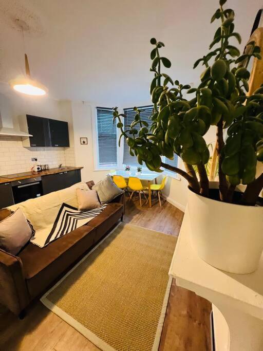 בלקפול Beautiful Space Stylish And Modern! Perfect Location מראה חיצוני תמונה